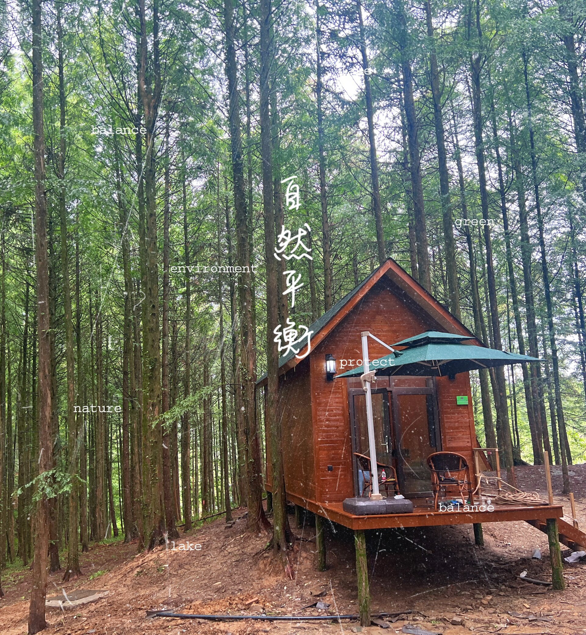 南川山王坪露营基地图片