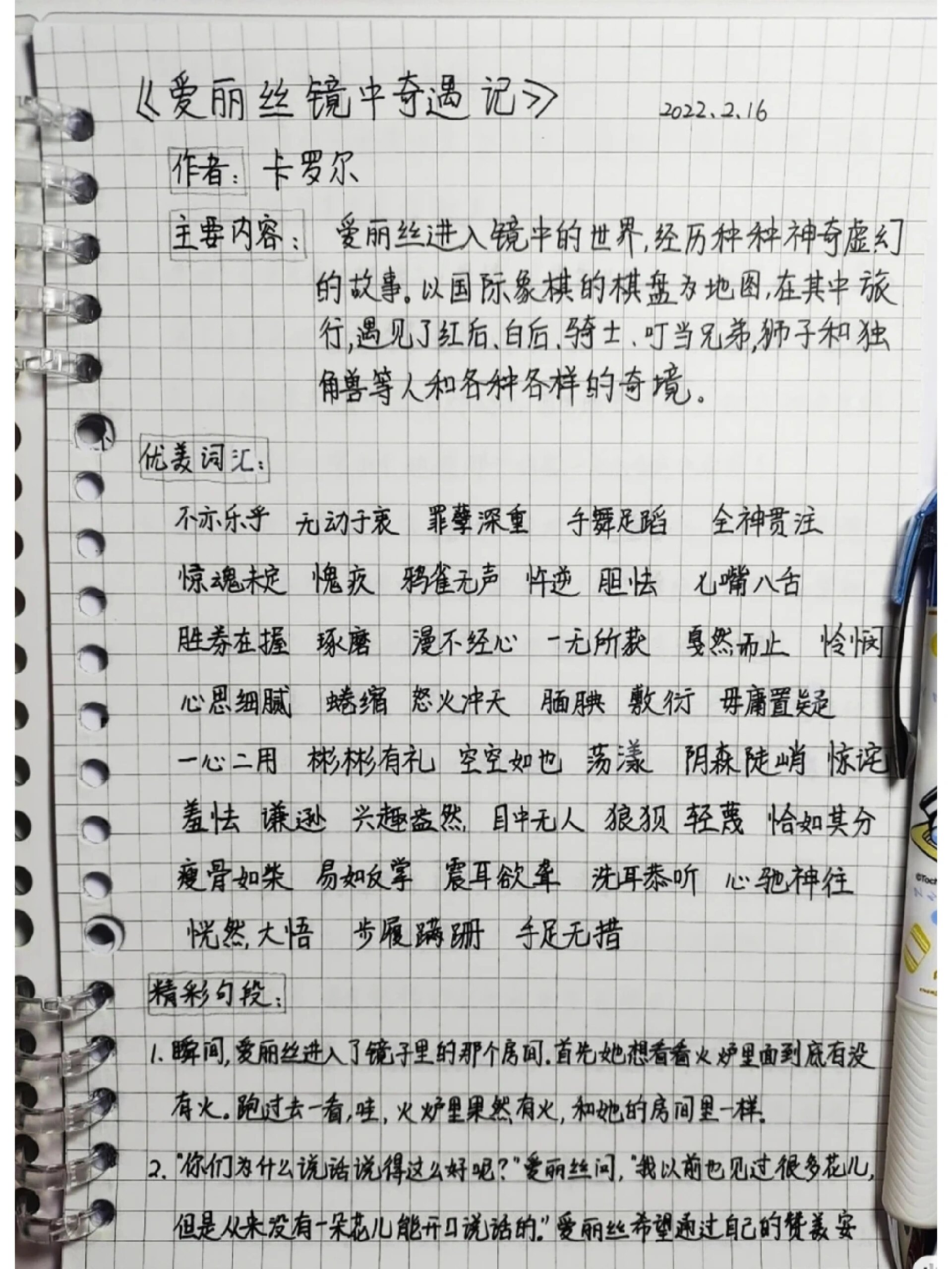 摘抄的格式 样板图片