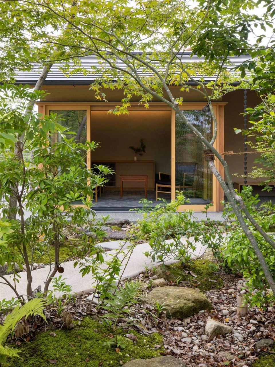 杂木花园-营造空间私密性 杂木纤细自然的姿态,让庭院有通透的呼吸感