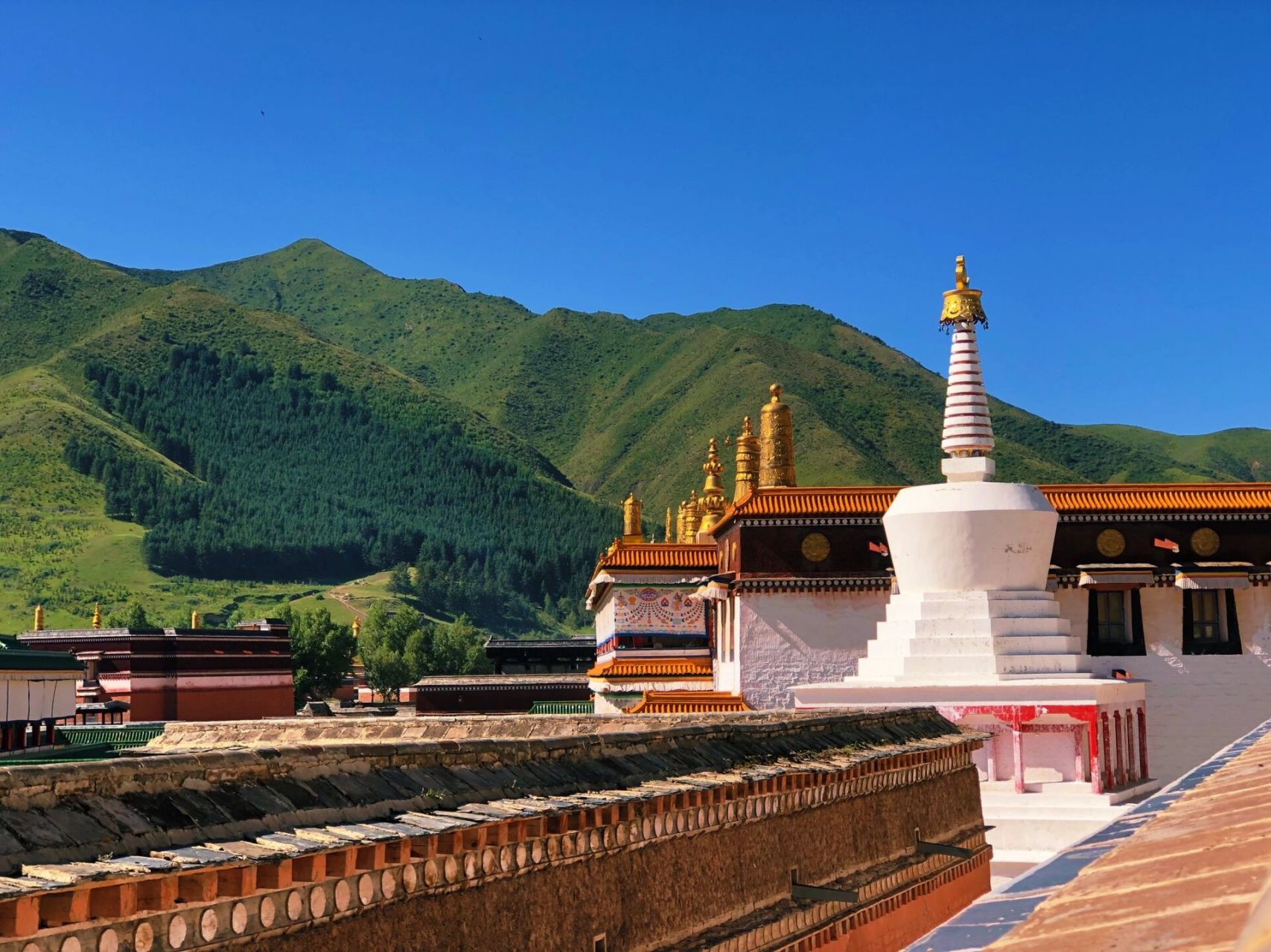 拉卜楞寺——寺庙旅行的天花板 甘南是个神奇的地方,万物和谐共生