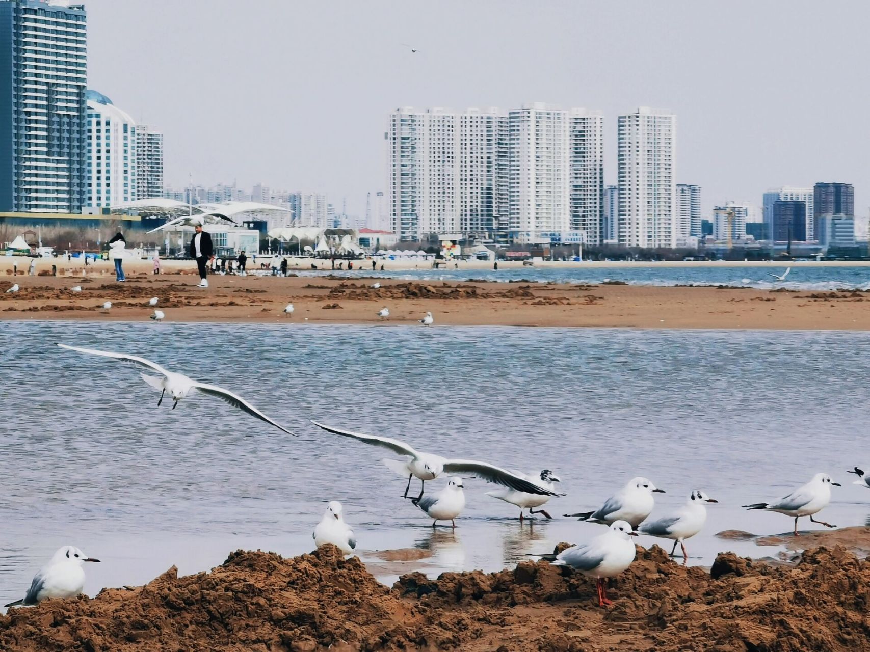 秦皇岛金梦海湾|秦皇岛本地人的海滩92 99地址秦皇岛海港区河滨路