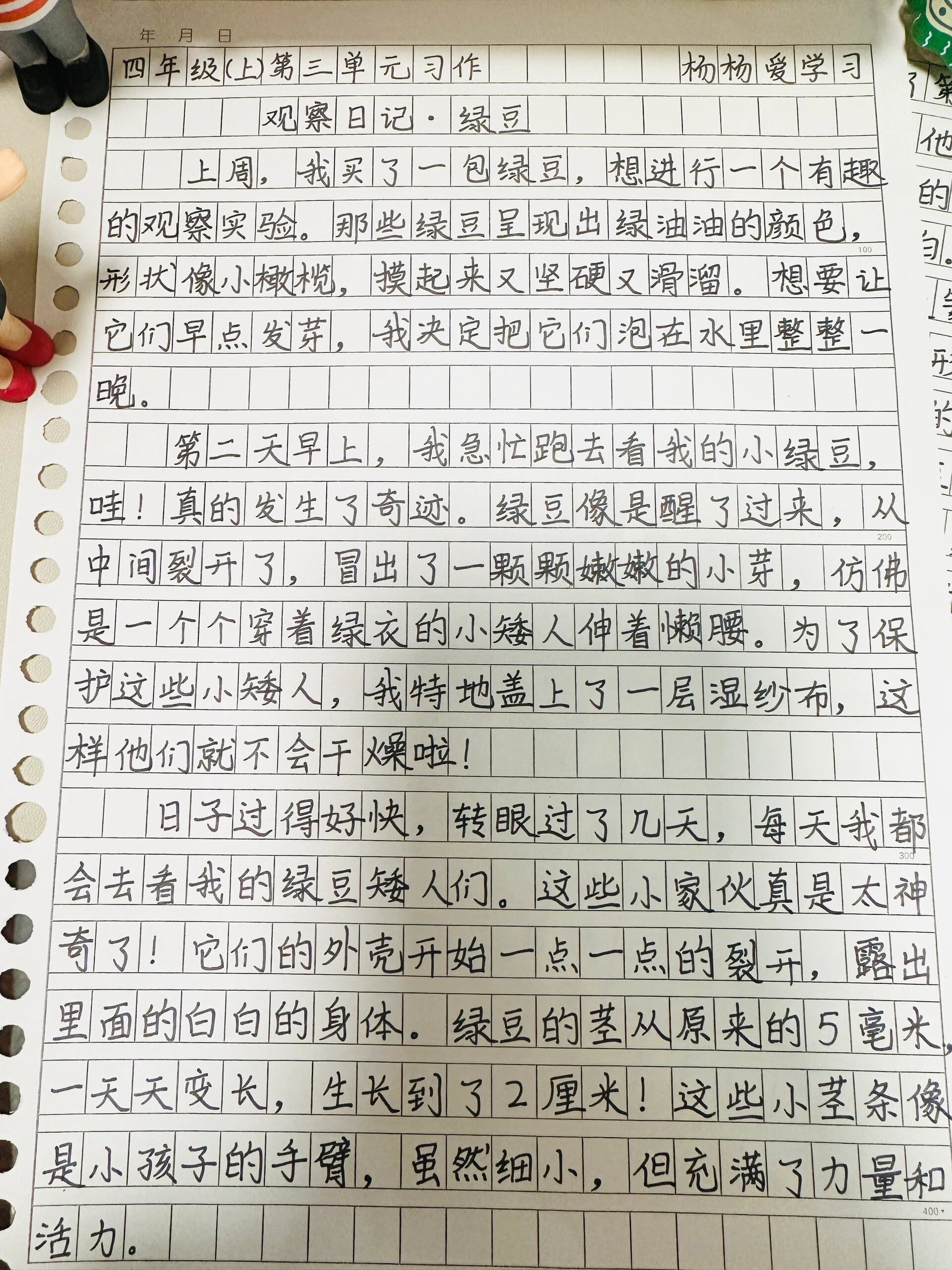 观察日记植物400字满分作文(观察日记观察植物的日记400字)