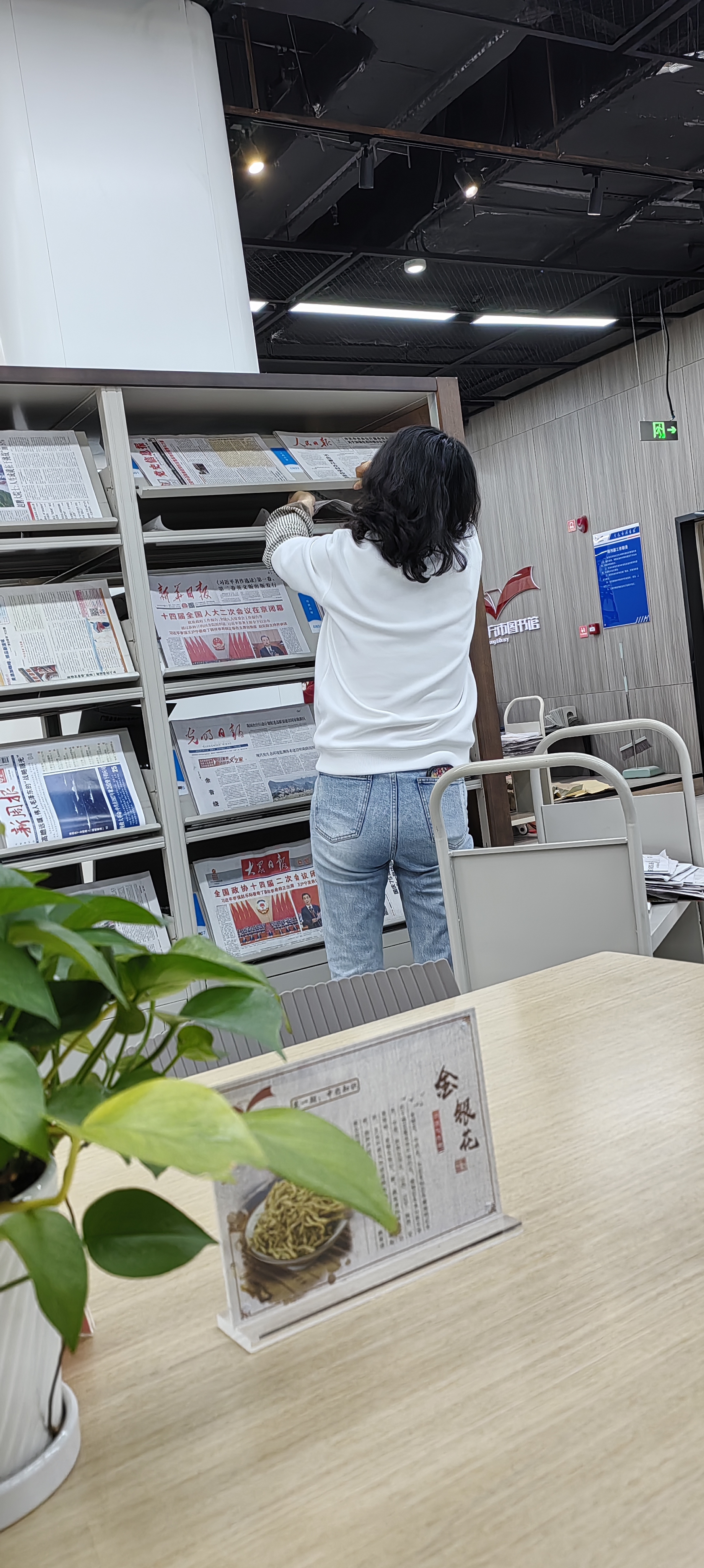 辛勤工作的图书馆工作人员.