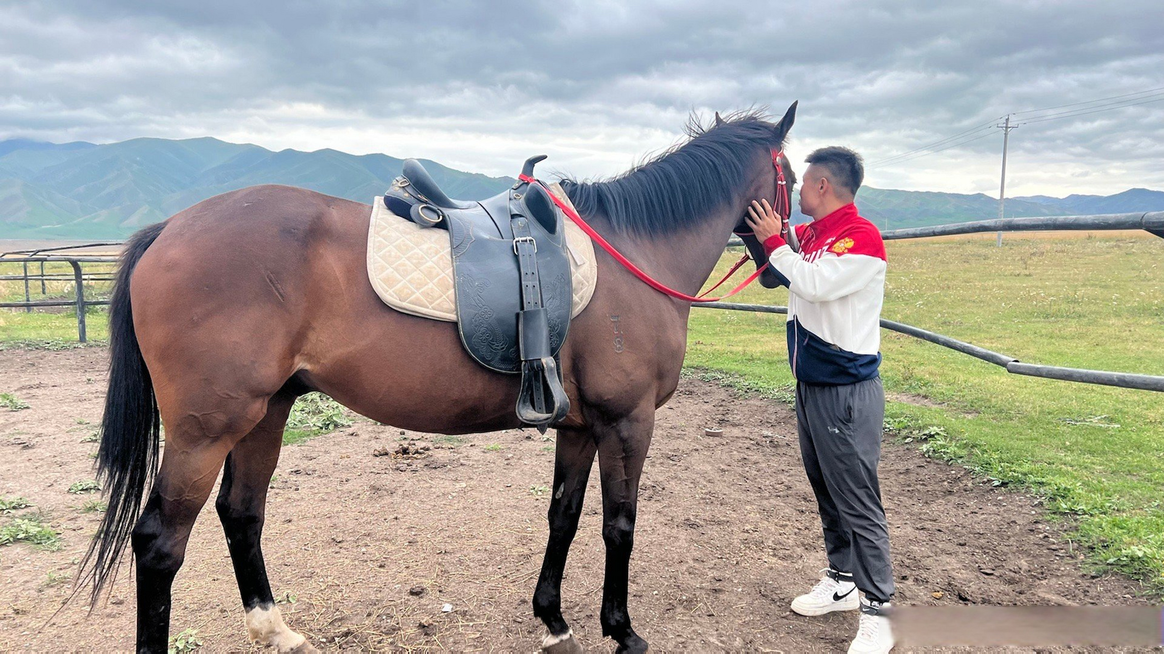 满心欢喜见良驹