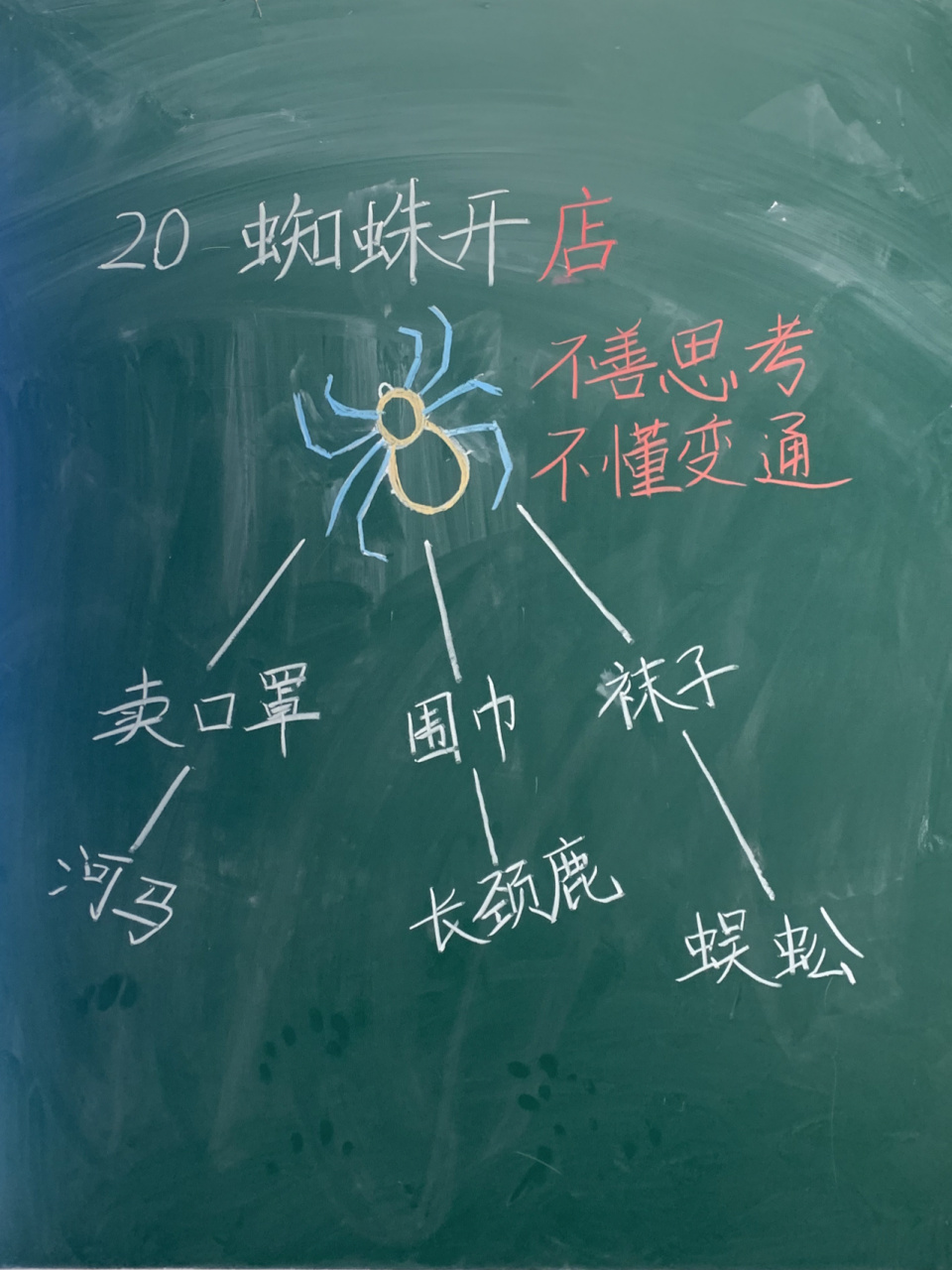 板书设计:二年级下册《蜘蛛开店 思维导图/小学语文/二年级语文