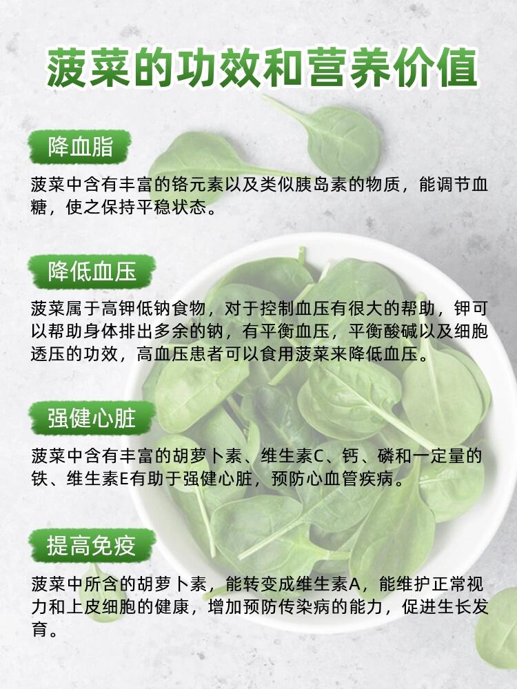 26 | 菠菜 spinach 菠菜(spinach)又名波斯菜,赤根菜,是极为常见的