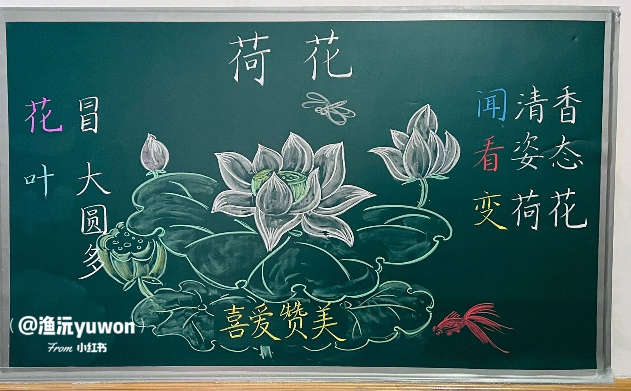 三(下)《荷花》板书设计 #小学语文板书设计