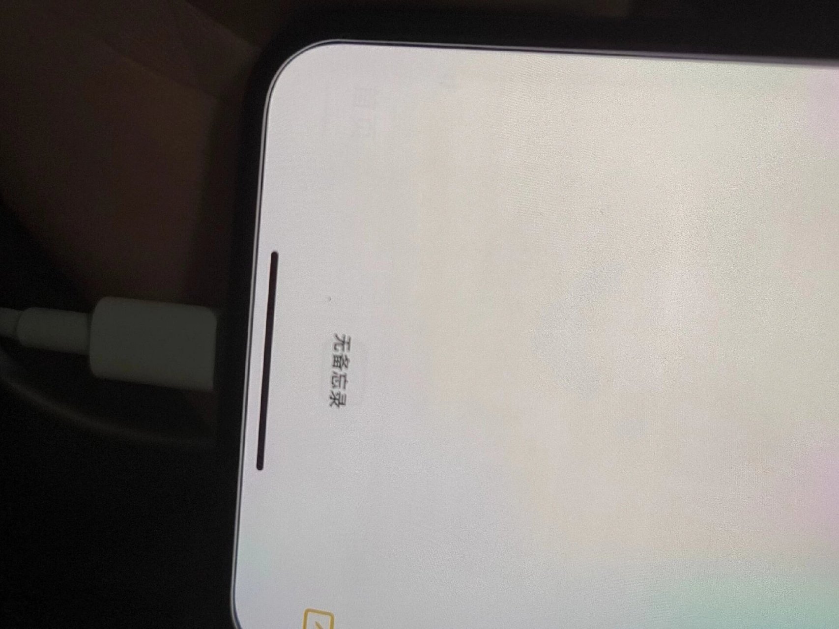 烧屏可以恢复的吗 在闲鱼买的二手iphone x 到手后发现在纯色背景下有