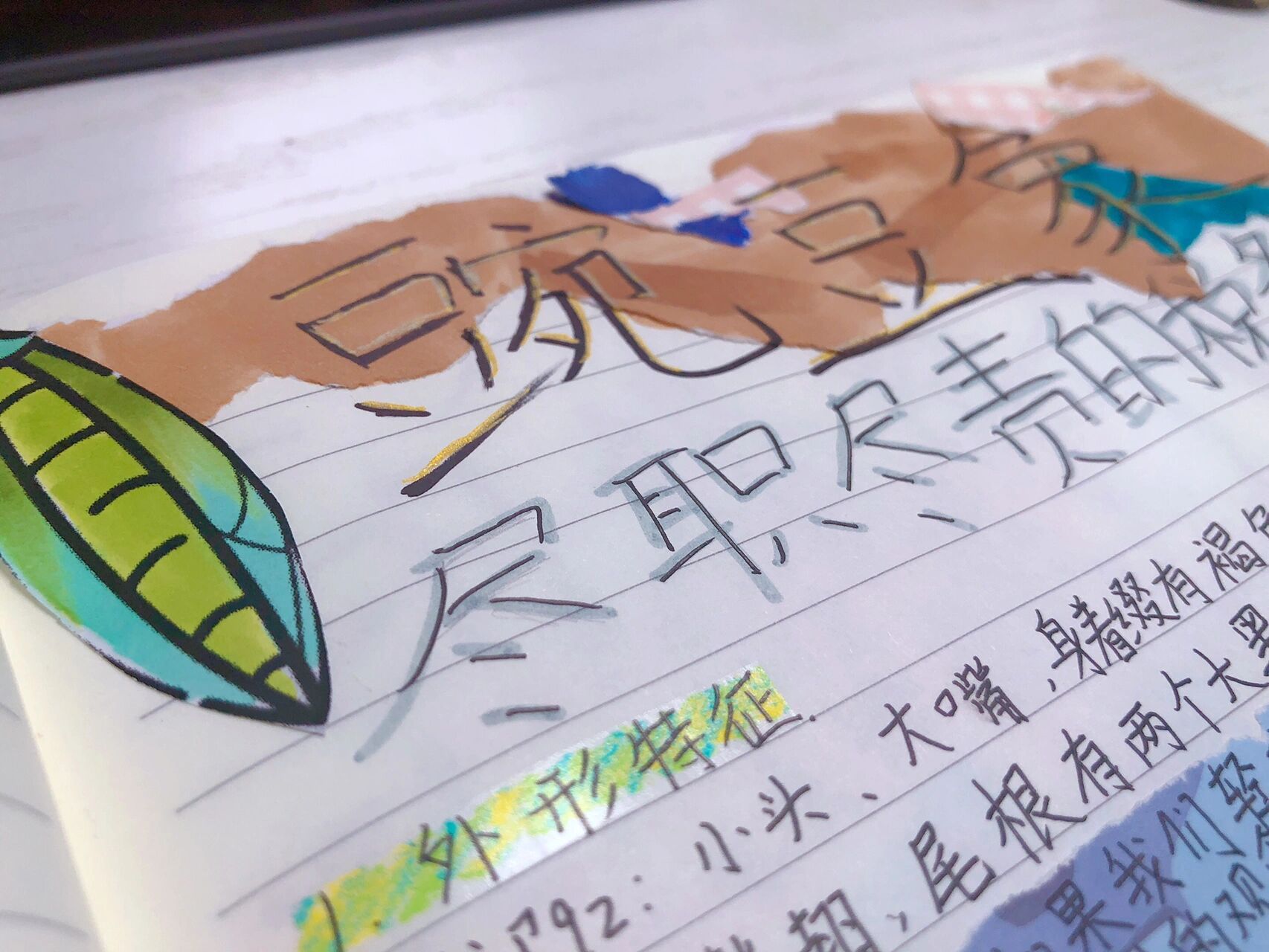 昆虫档案(6)豌豆象