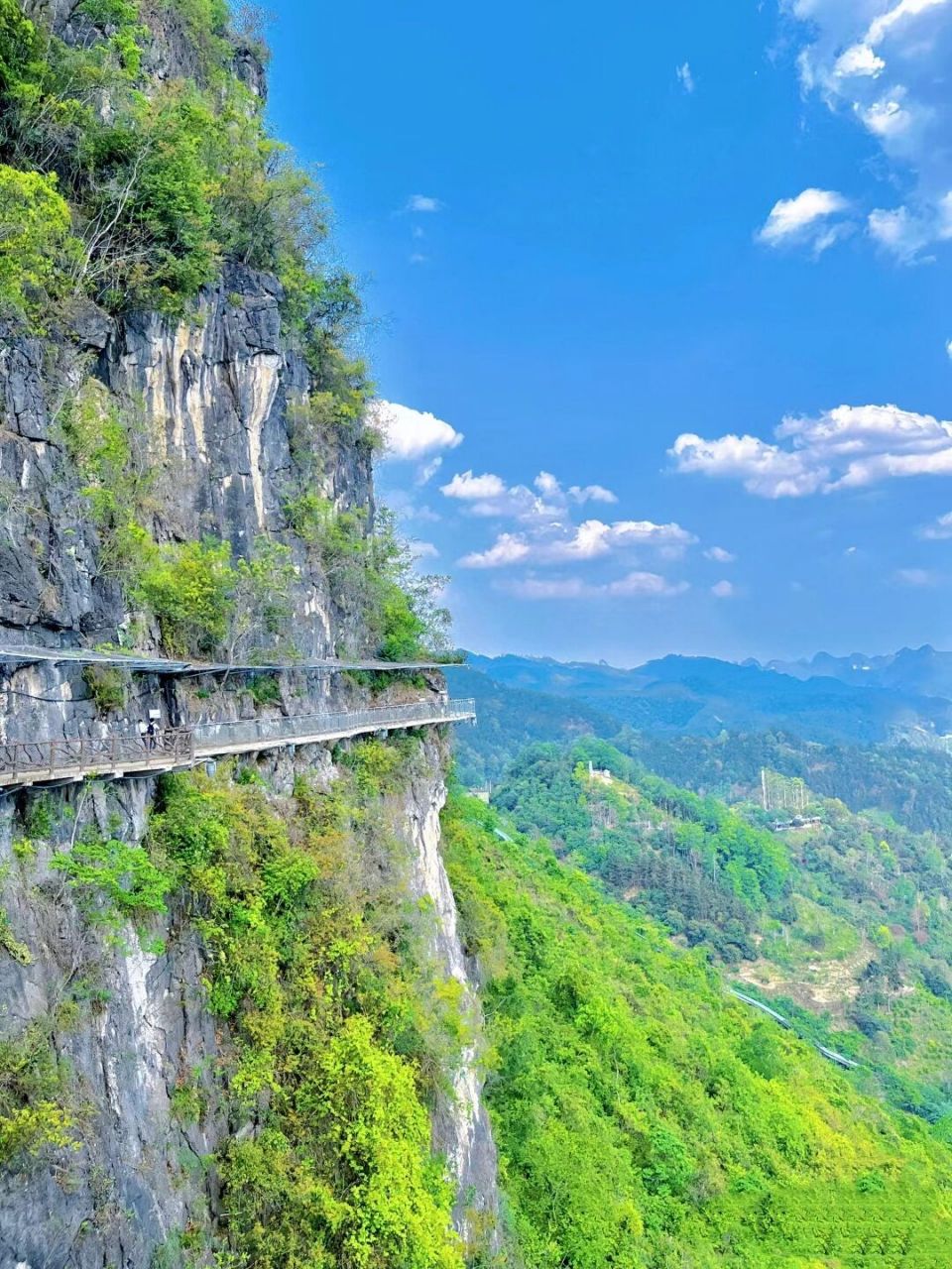 20077 | 崇左德天瀑布一日游 性价比超高 如果你是比较懒得做攻略的