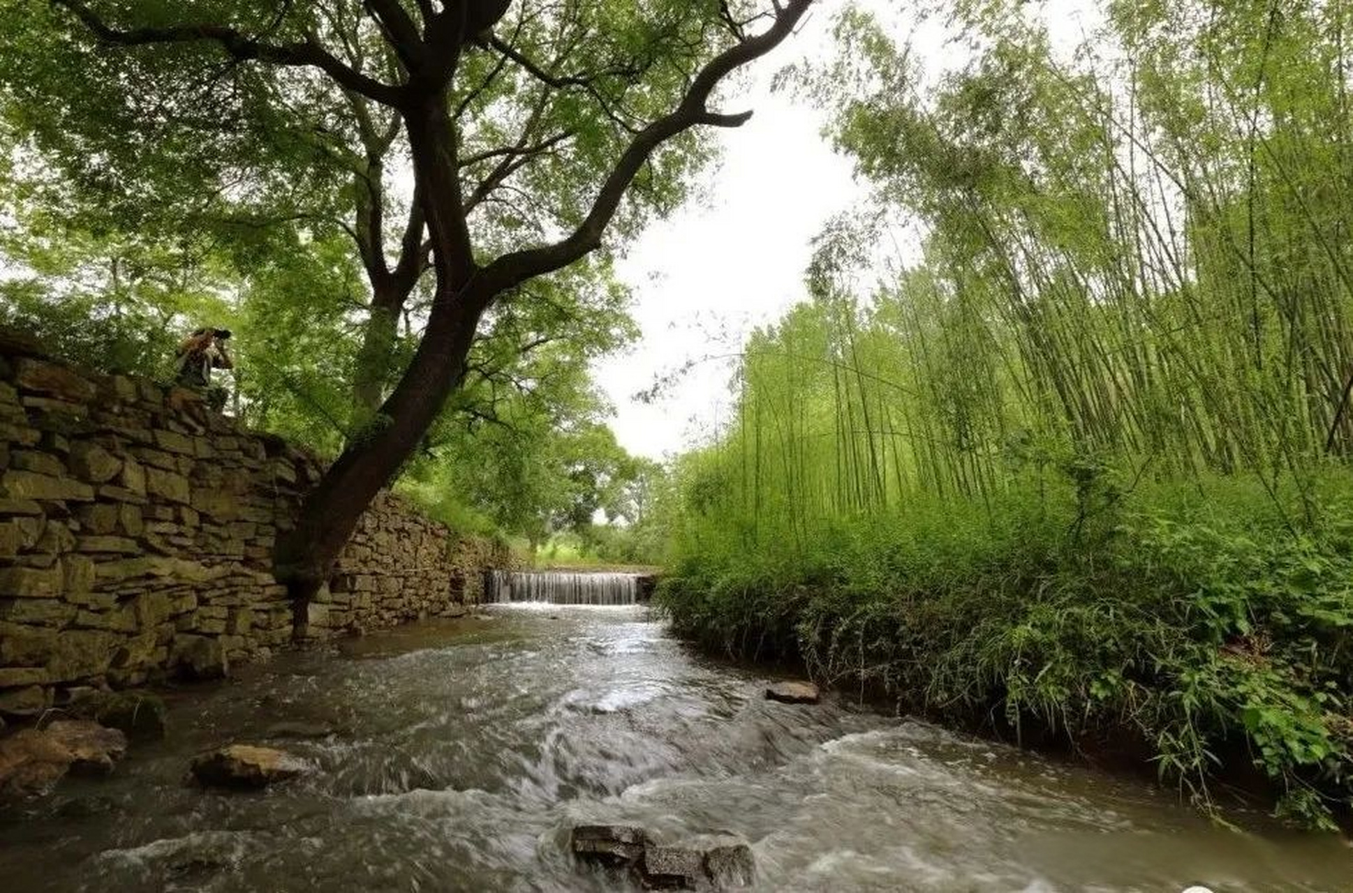 吴窑位于凤阳县殷涧镇,是千年古村,那里依然保持着最为原生态的风景和