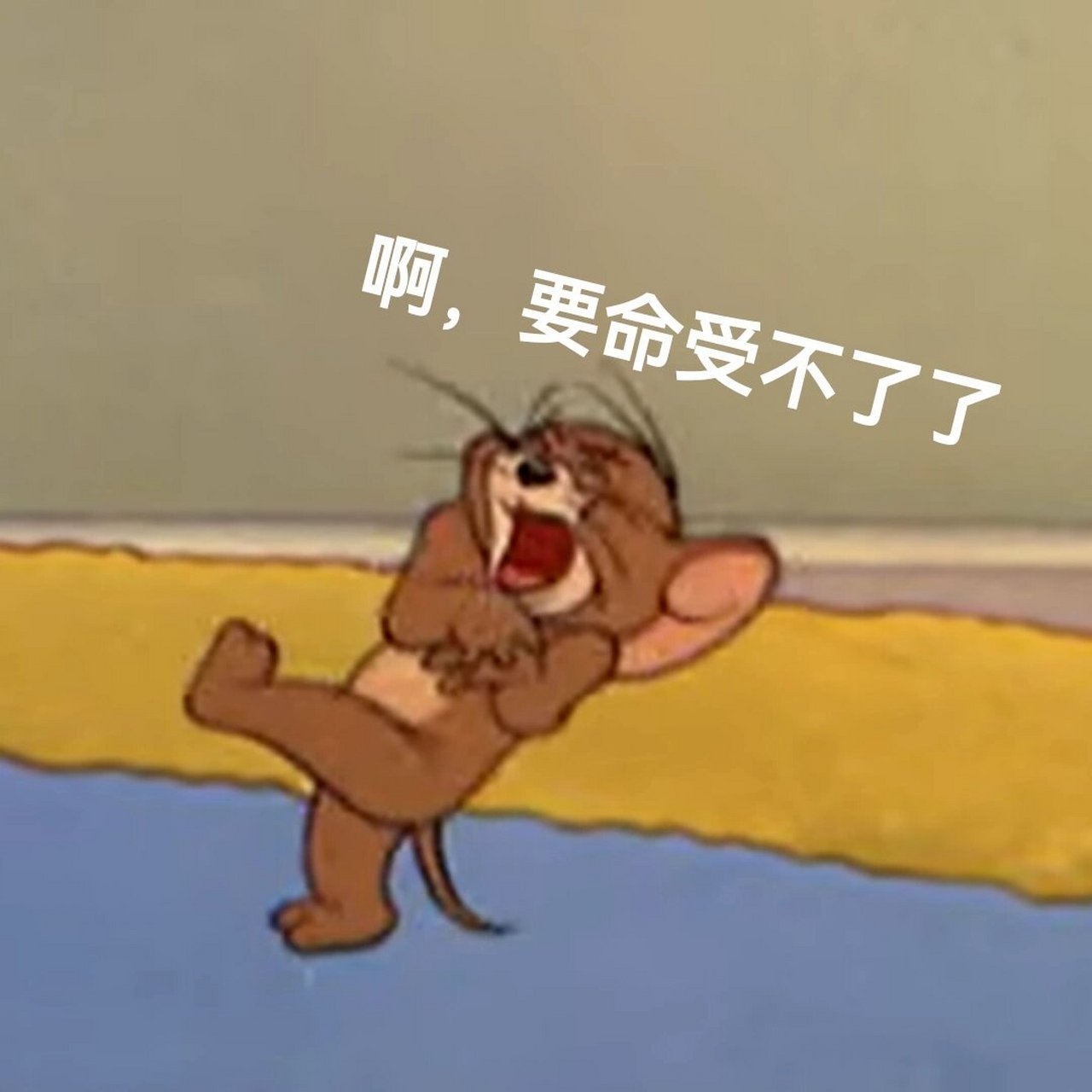 汤姆&杰瑞表情包29(下) 杰瑞我真的哭喜,帮助小狮子回归草原