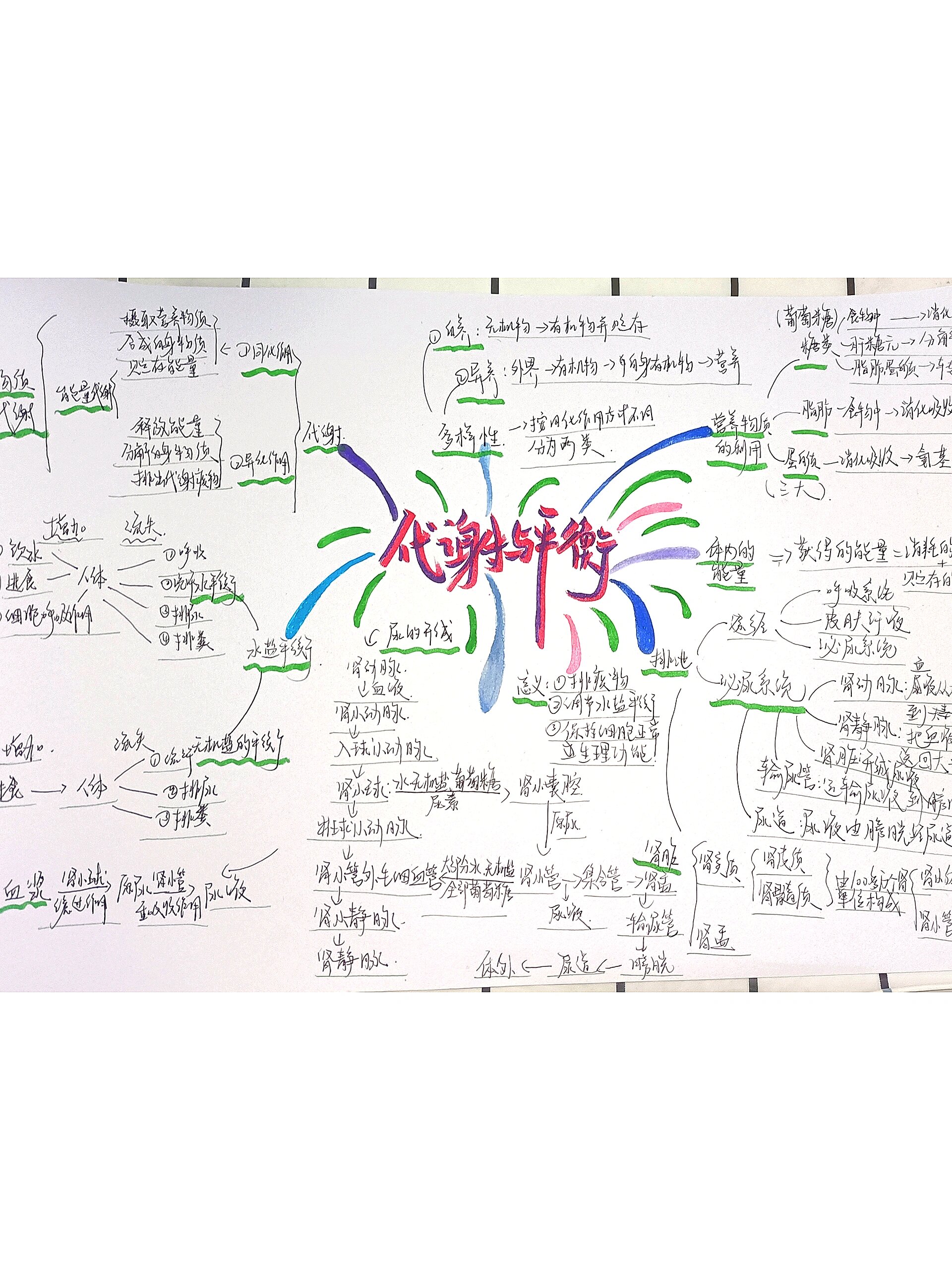 浙教版科学九上第4章思维导图--新年版