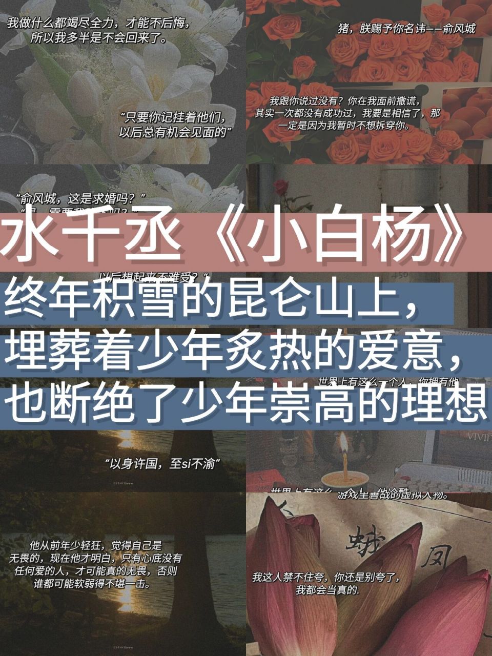 90水千丞《小白杨》经典语录  大家好呀,今天分享的是水千丞