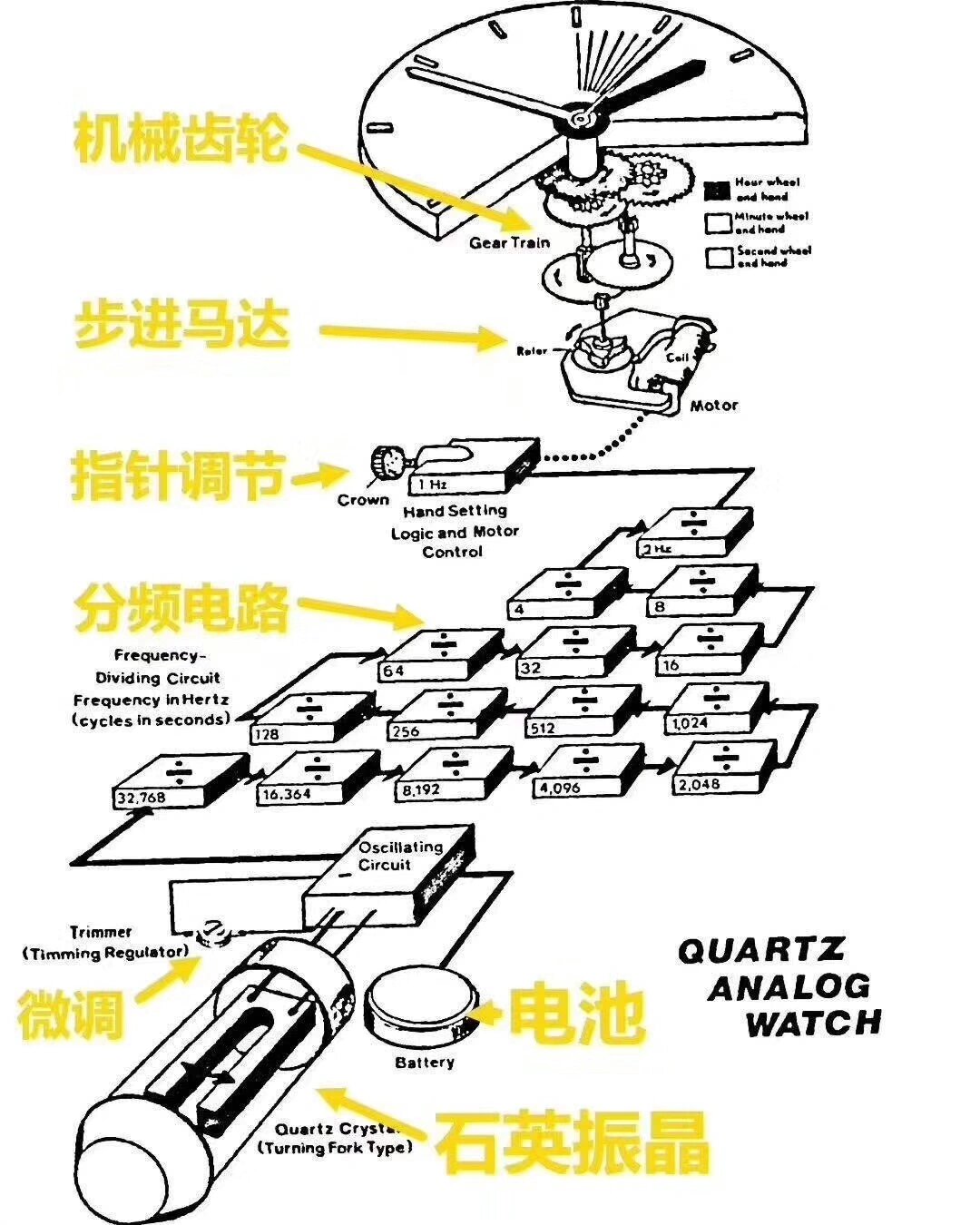 石英机芯原理图图片