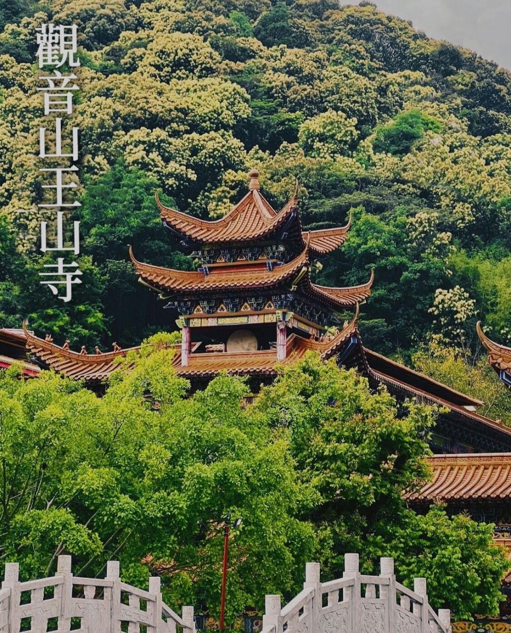 广清旅游景点打卡2/50|观音山王山寺 99观音山王山寺,佛冈县石角镇