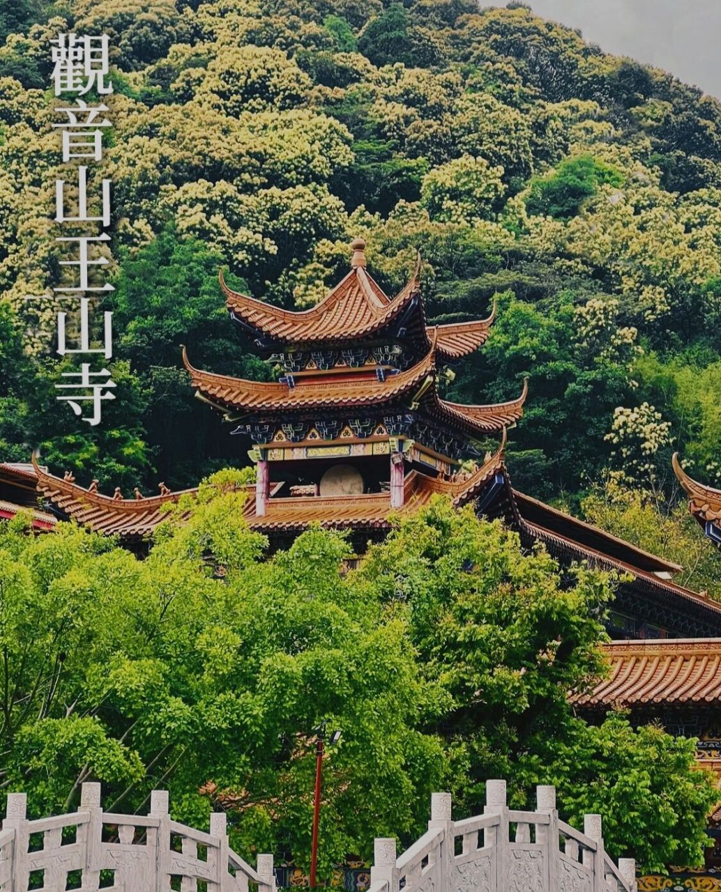 佛冈观音山王山寺简介图片