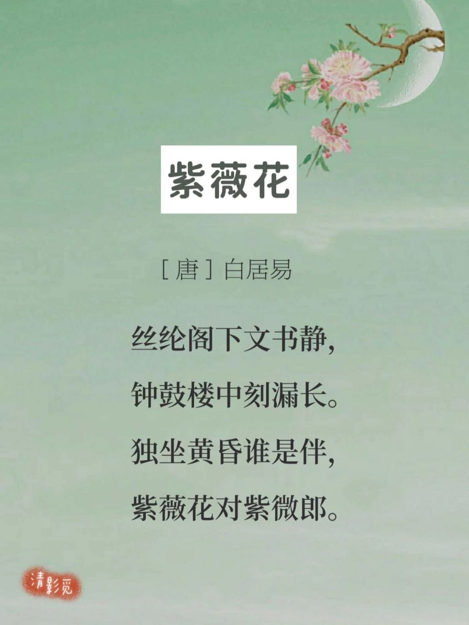 每日诗词191|白居易《紫薇花》 —— 🌸【注释】 紫薇花:落叶亚乔木