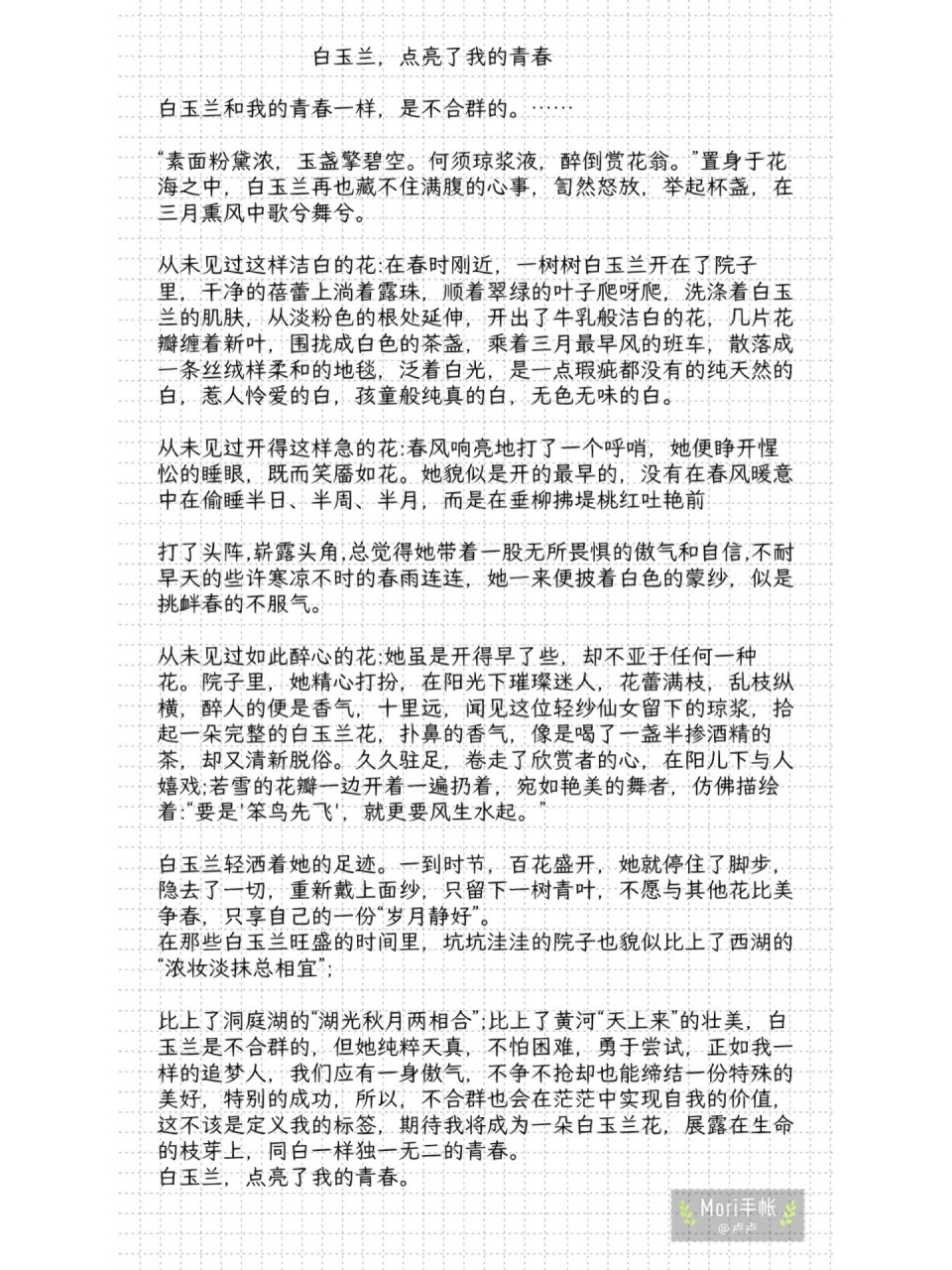 托物言志作文3 白玉兰 一花一世界 一叶一菩提 人间草木 都是可写之物