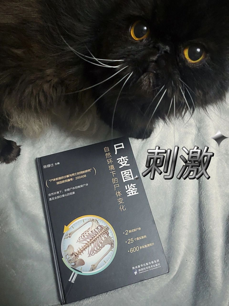 最近看了一本重口味科普书《尸变图鉴》🤯 书店到的新书 虽然预感到