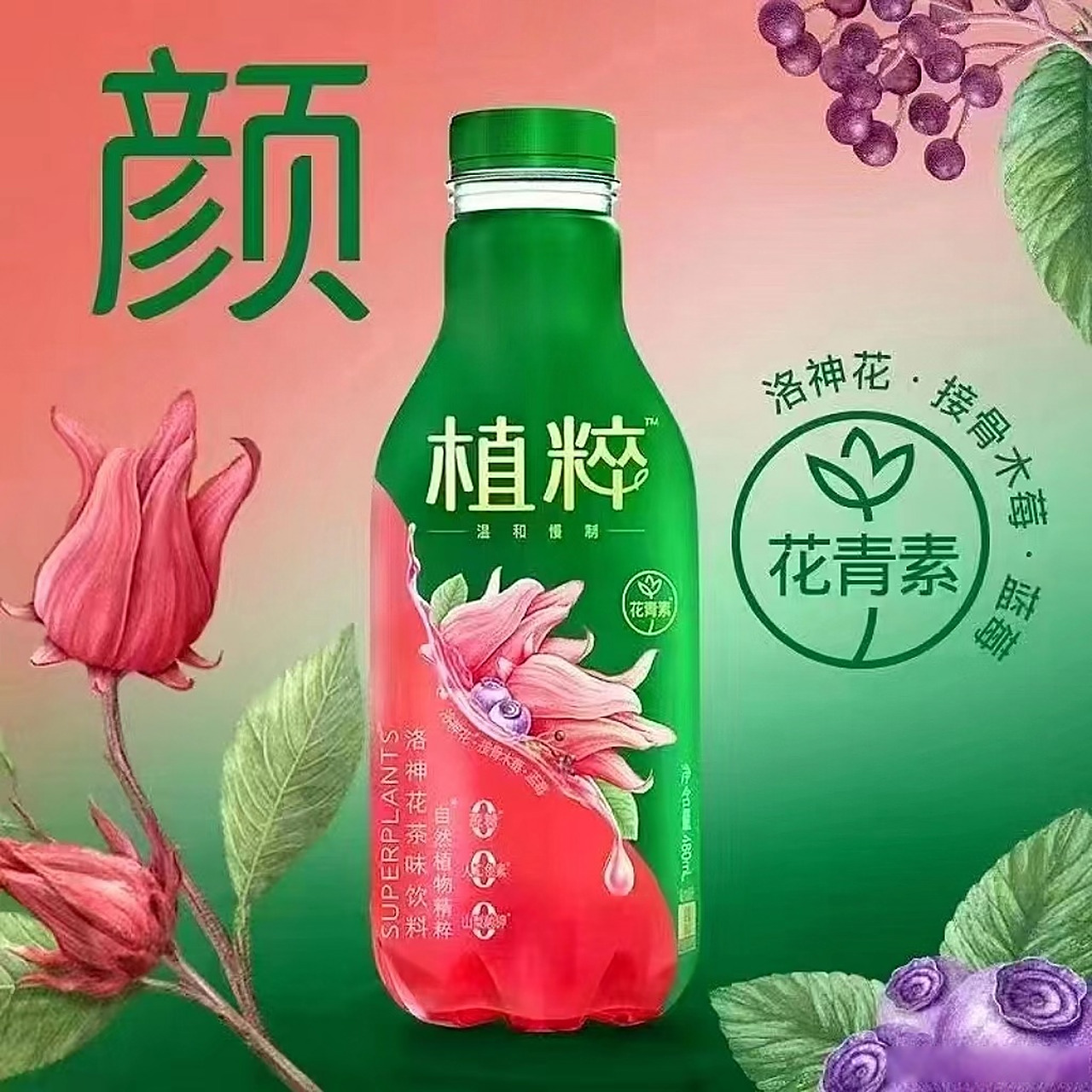达能推出重磅新品:植粹~ 草本70花果70茶的混搭