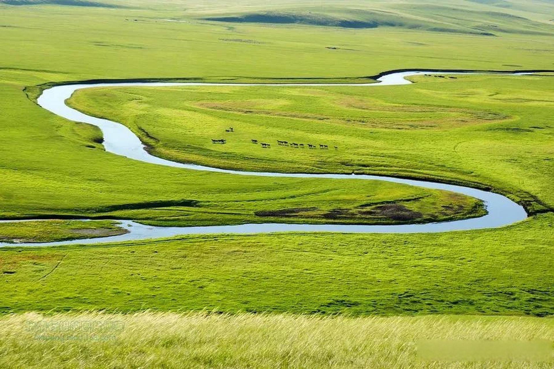 河流为什么能够汇入大海?