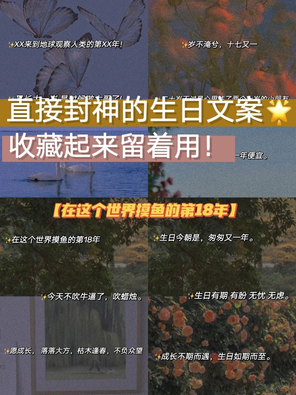 比较隐晦的生日图片图片