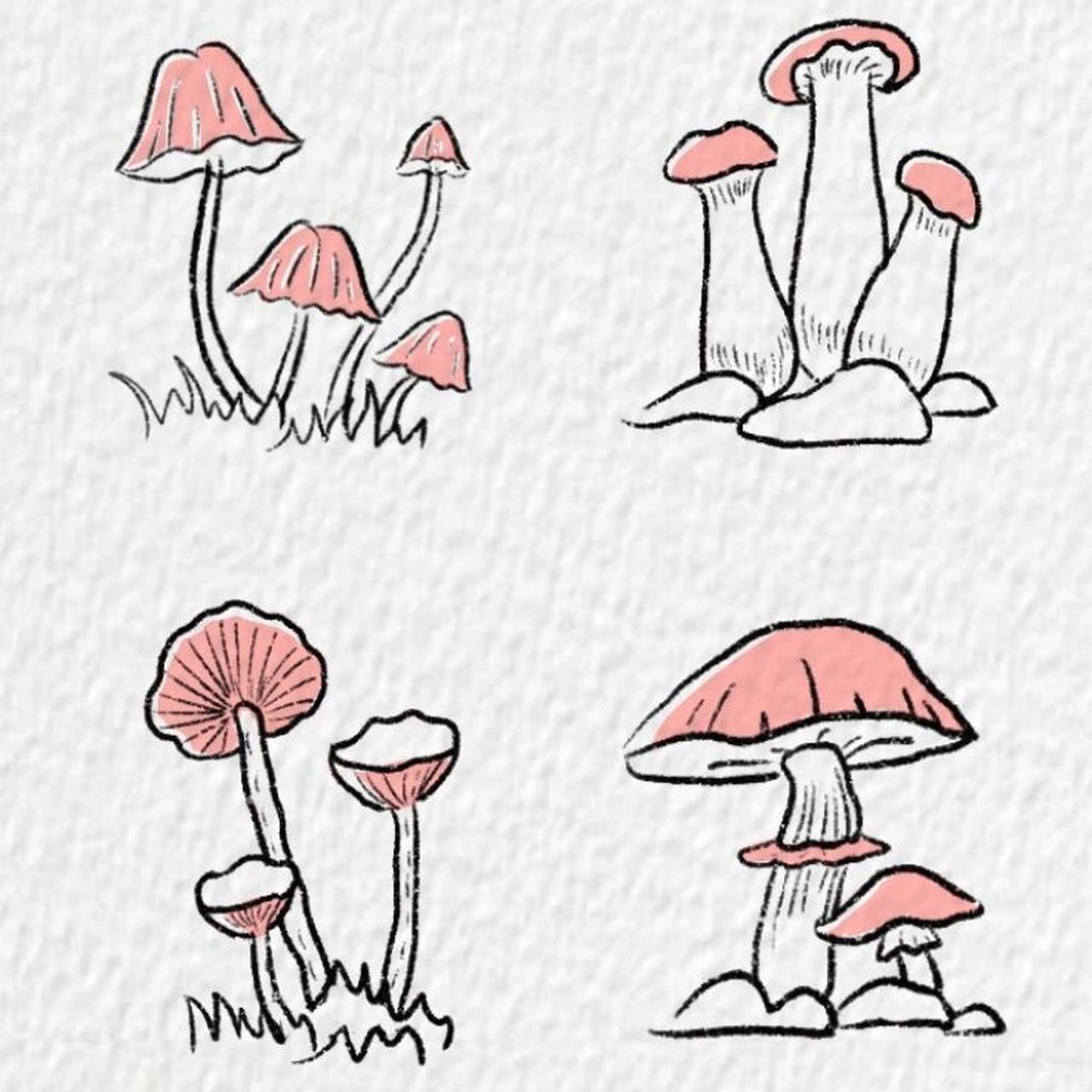 蘑菇简笔画～ 这也许是毒蘑菇 软件:procreate 笔刷:干油墨,工作室笔