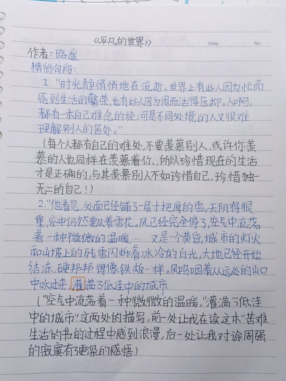 《平凡的世界》读书笔记摘抄加感悟 摘抄 感悟