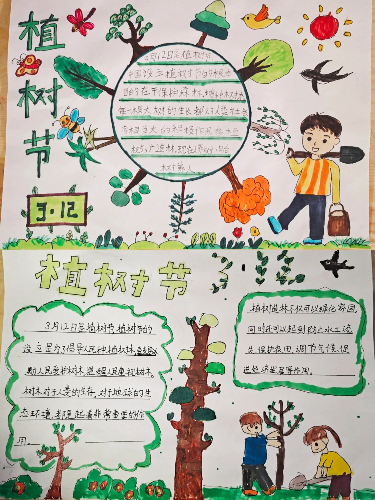 植树节手抄报字大一图片