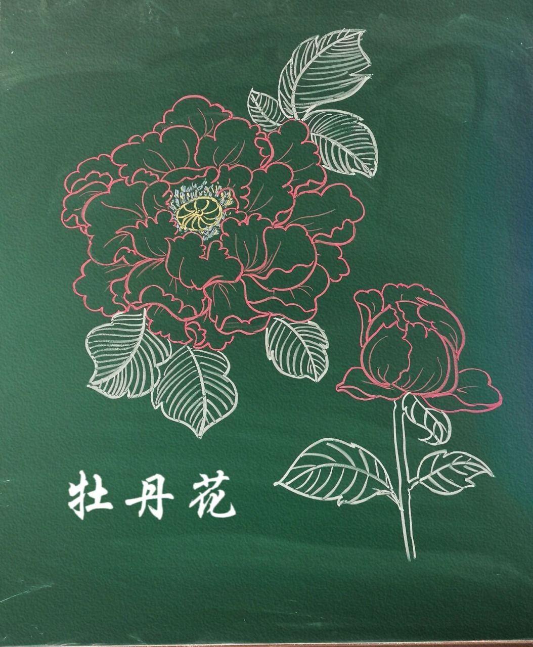 粉笔画——花朵合辑