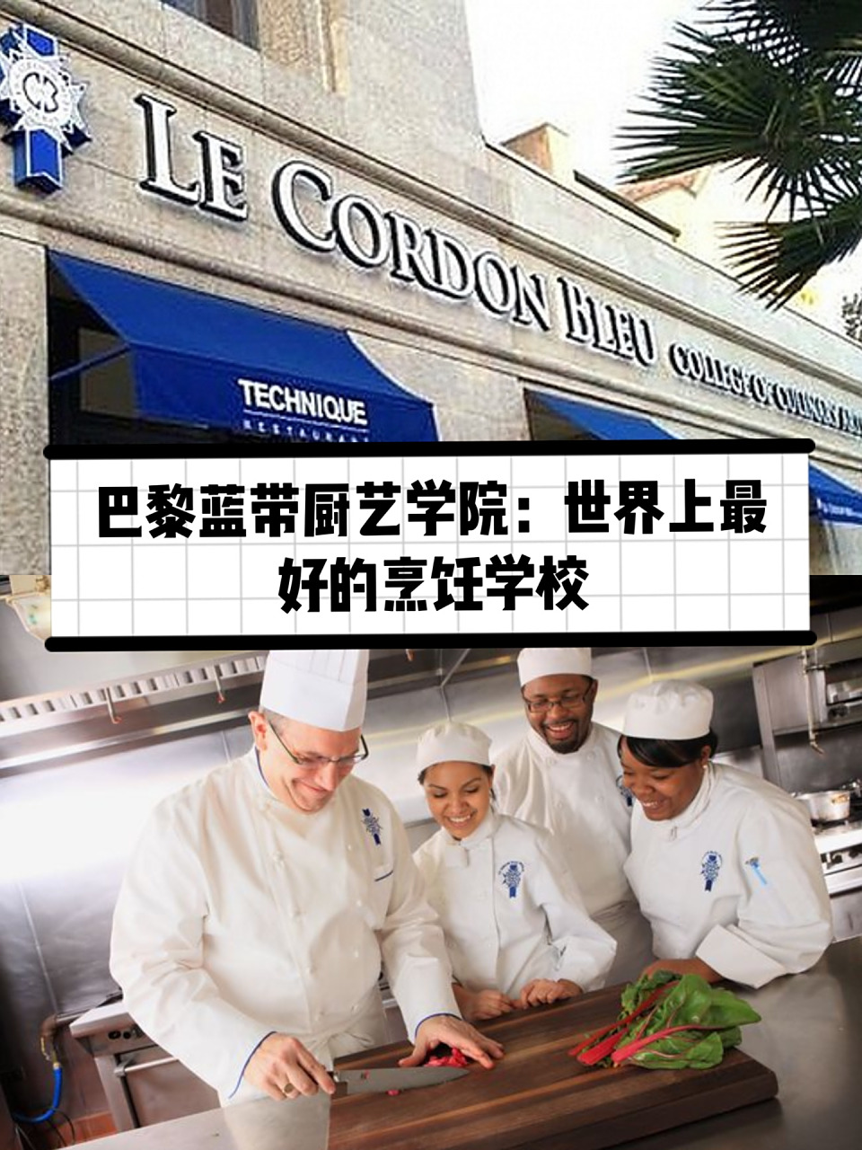 巴黎蓝带厨艺学院:世界上最好的烹饪学校 巴黎蓝带厨艺学院拥有超过