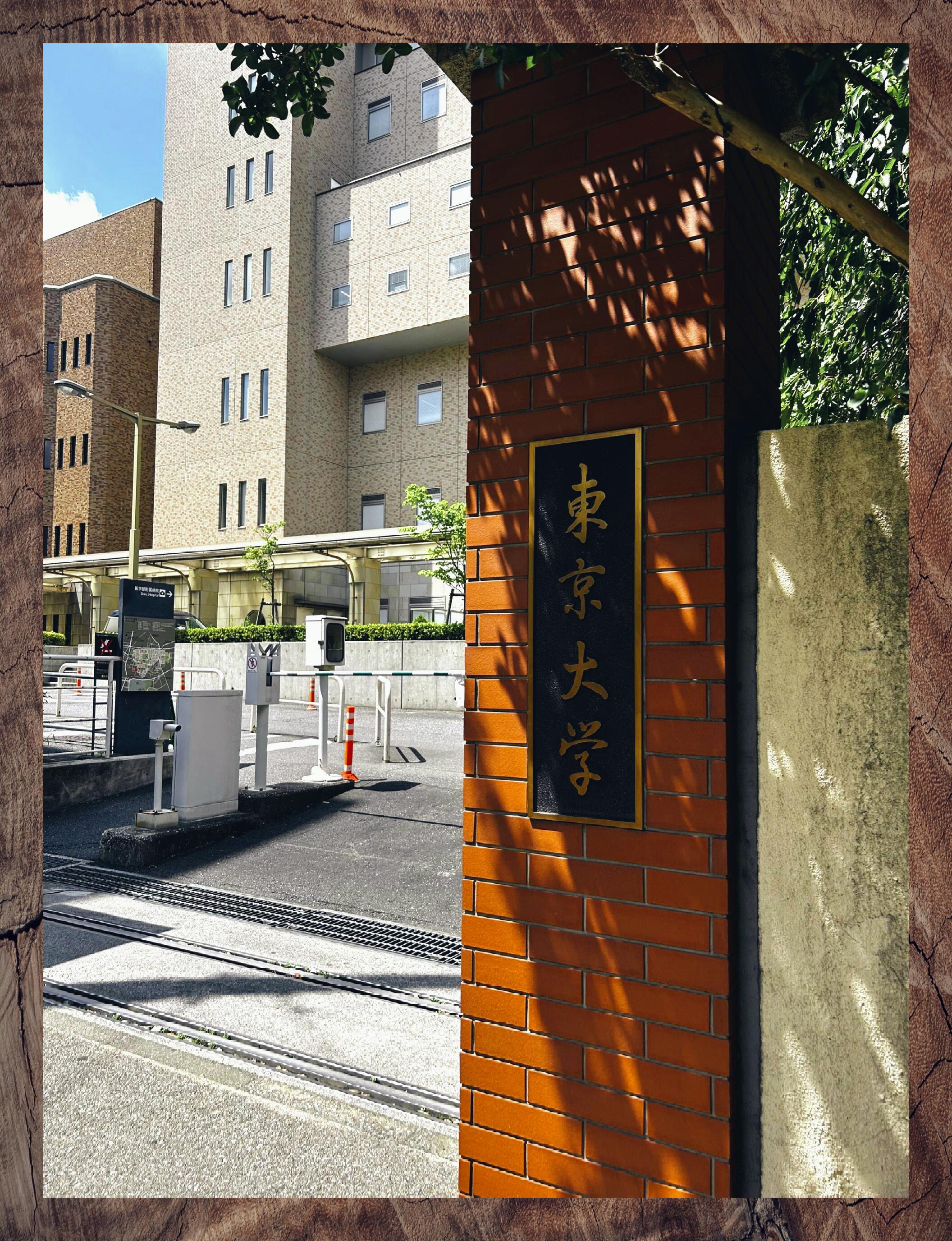 东京: 东京大学掠影 7899【校园探秘】7899 98走过亚洲第一