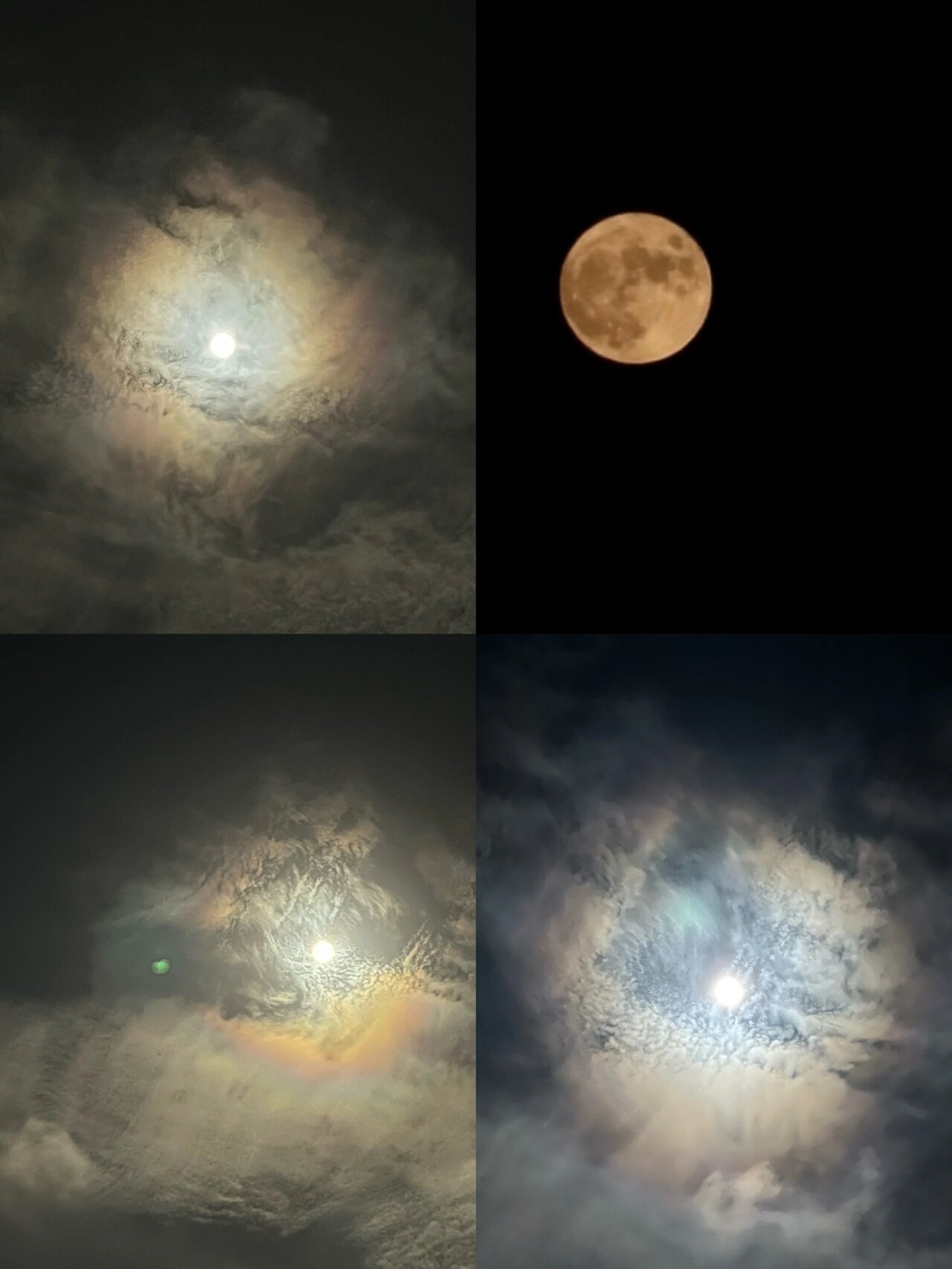 今天的月亮自带彩色光晕!