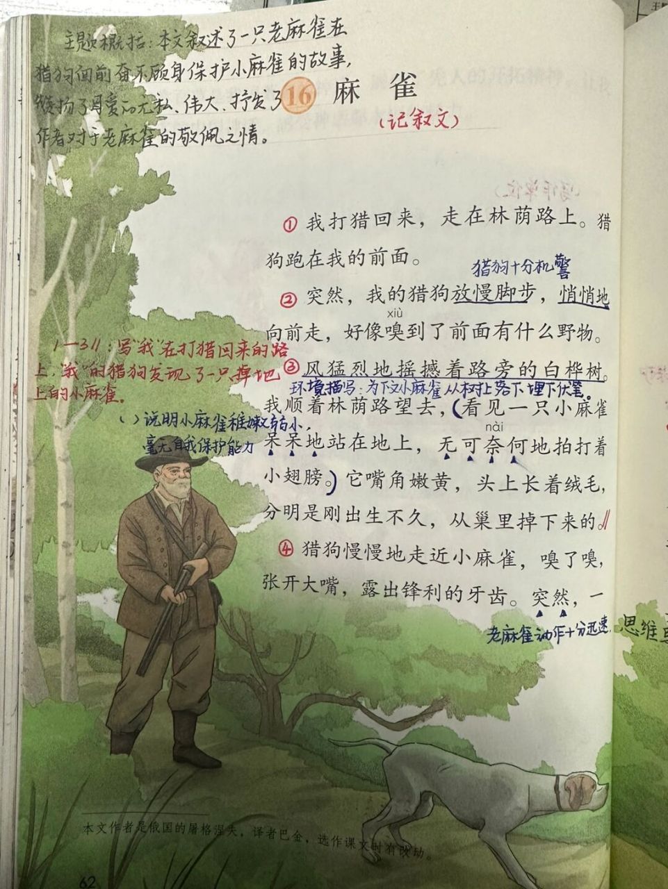 46615上备课笔记/《麻雀》92 #语文笔记# #四年级上册语文