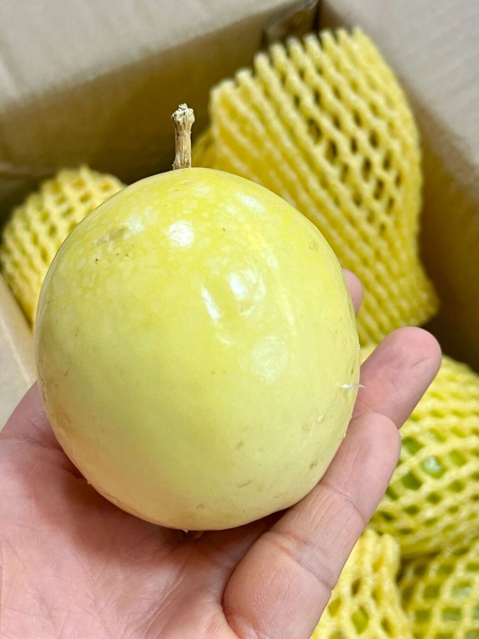 夏秋季水果 | 黄金百香果 99产地:广西钦州市浦北县张黄镇 77果期