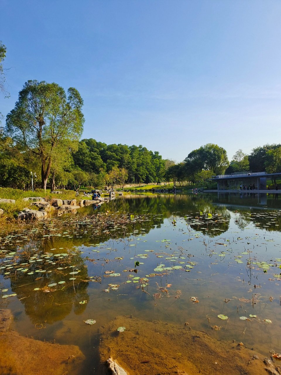 用力拥抱大自然～西丽湖度假村好chill~ 西丽湖度假村真的好chill