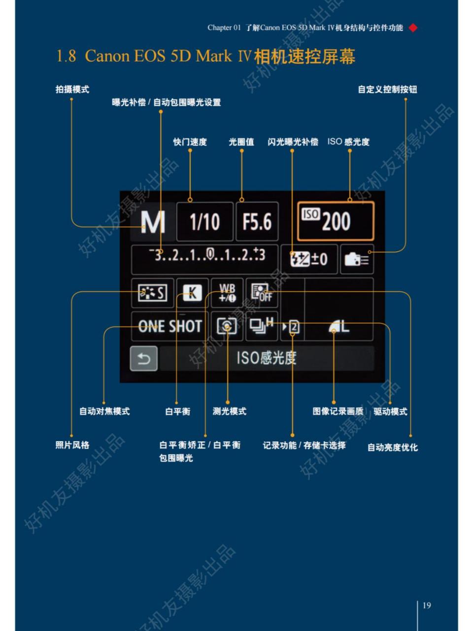 佳能5d新手入门图解图片