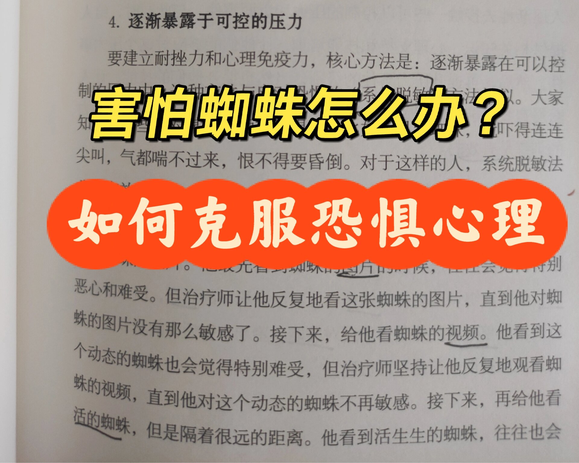 ➡️大家知道,有些人对某些东西有恐惧症,比如,见到蜘蛛,就吓得