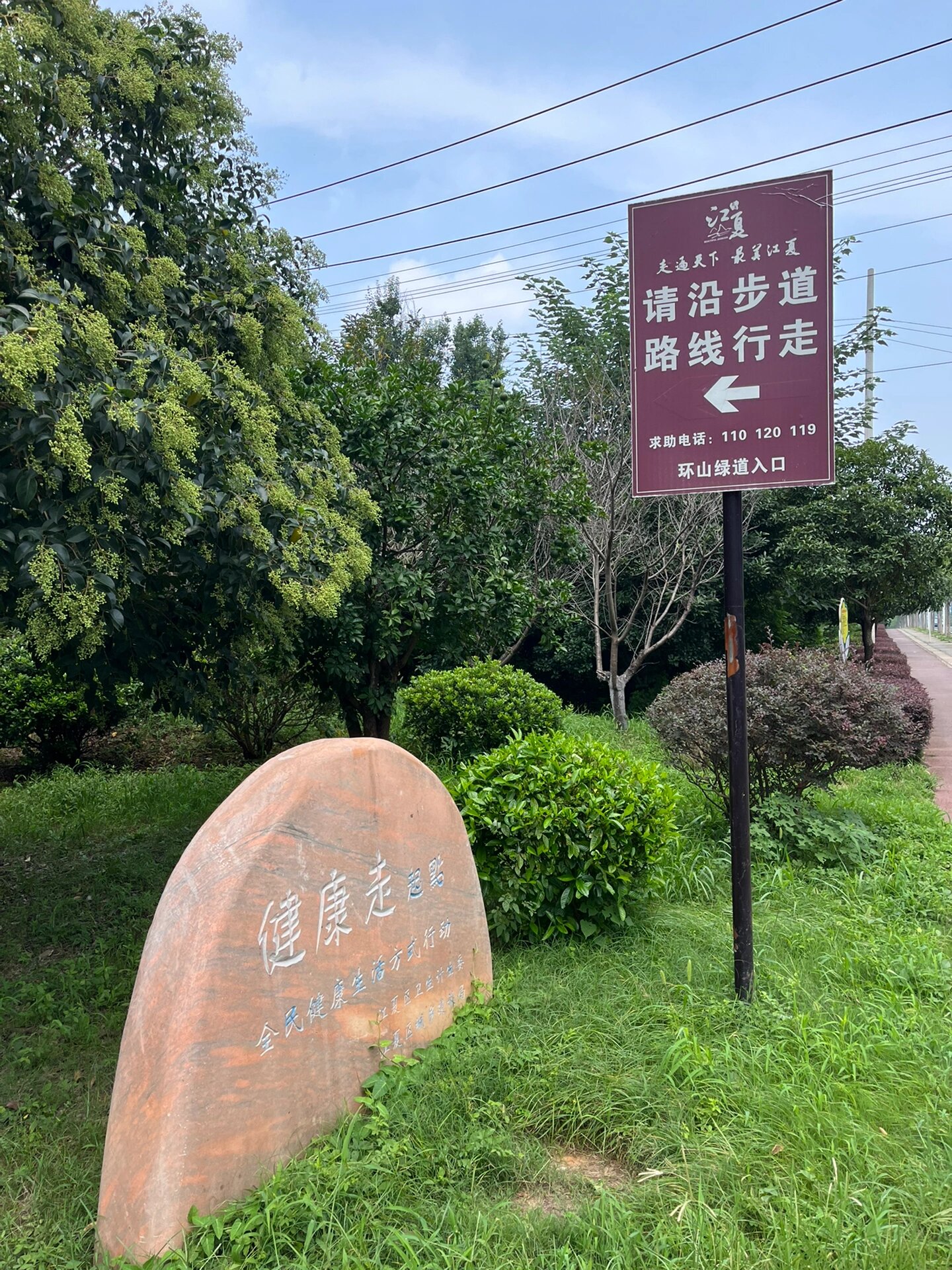 青龙山环山绿道图片