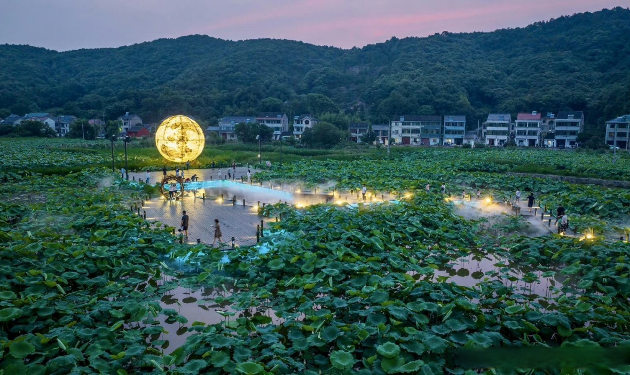 6月初夏,上虞驿亭镇白马湖畔再现朱自清笔下"荷塘月色".