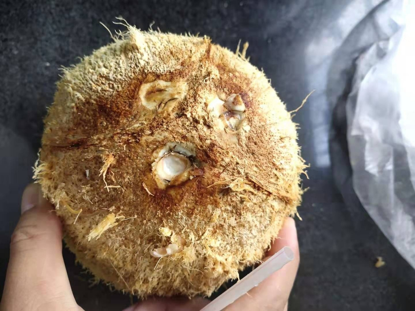 椰子孔小知识 原来椰子顶部有三个孔,两个假的,一个真的真的那个才
