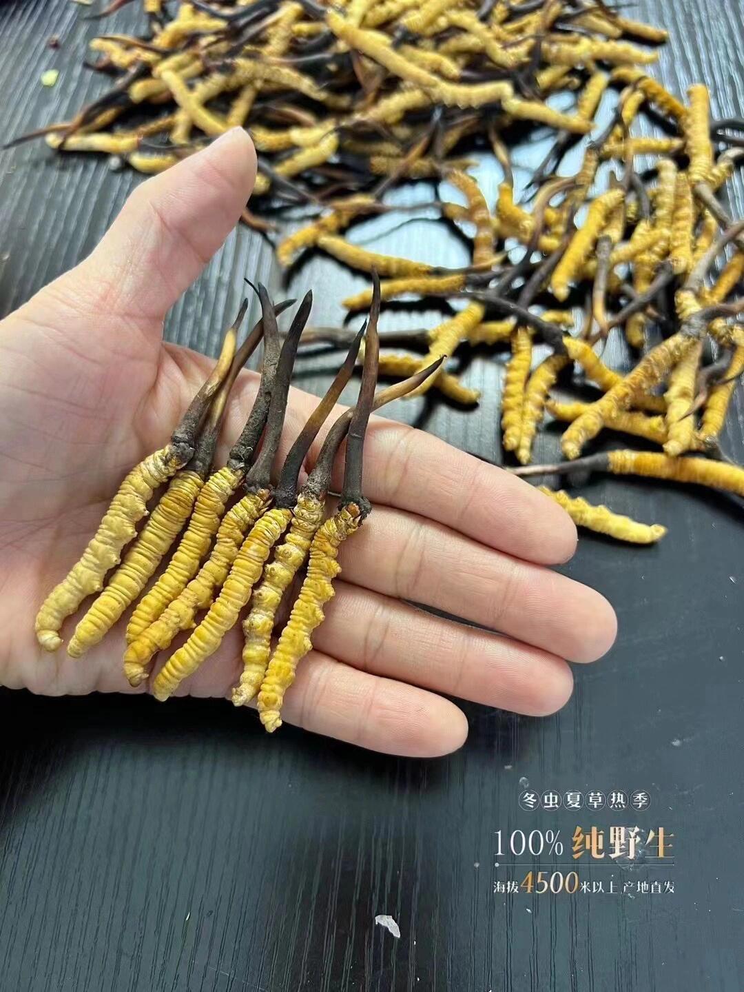 现在真不缺东西 但很缺真正的好东西 一直在跟大家