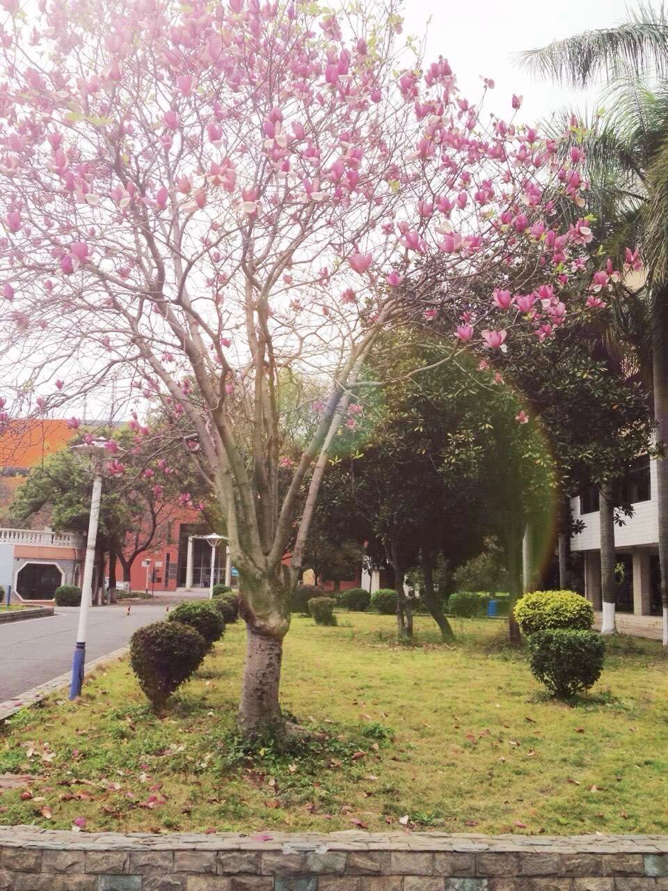 佛山大学! 最近总是刷到母校,毕业3年了,甚是怀念啊!