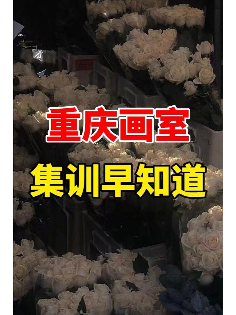 办学历史:重庆荷马画室从2003年办校至今,已经有19年,是非常资深的