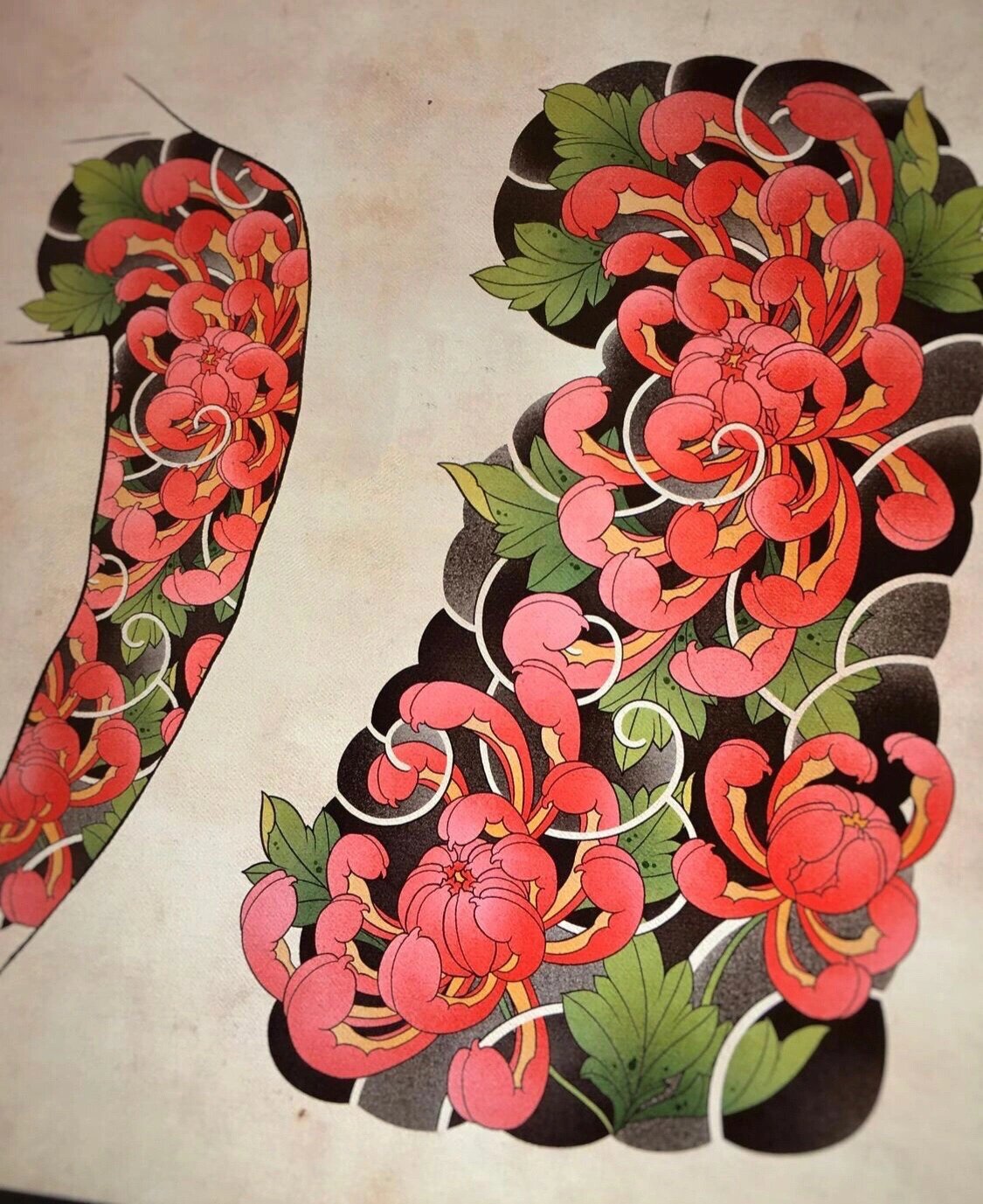 纹身手稿/老传统菊花花臂