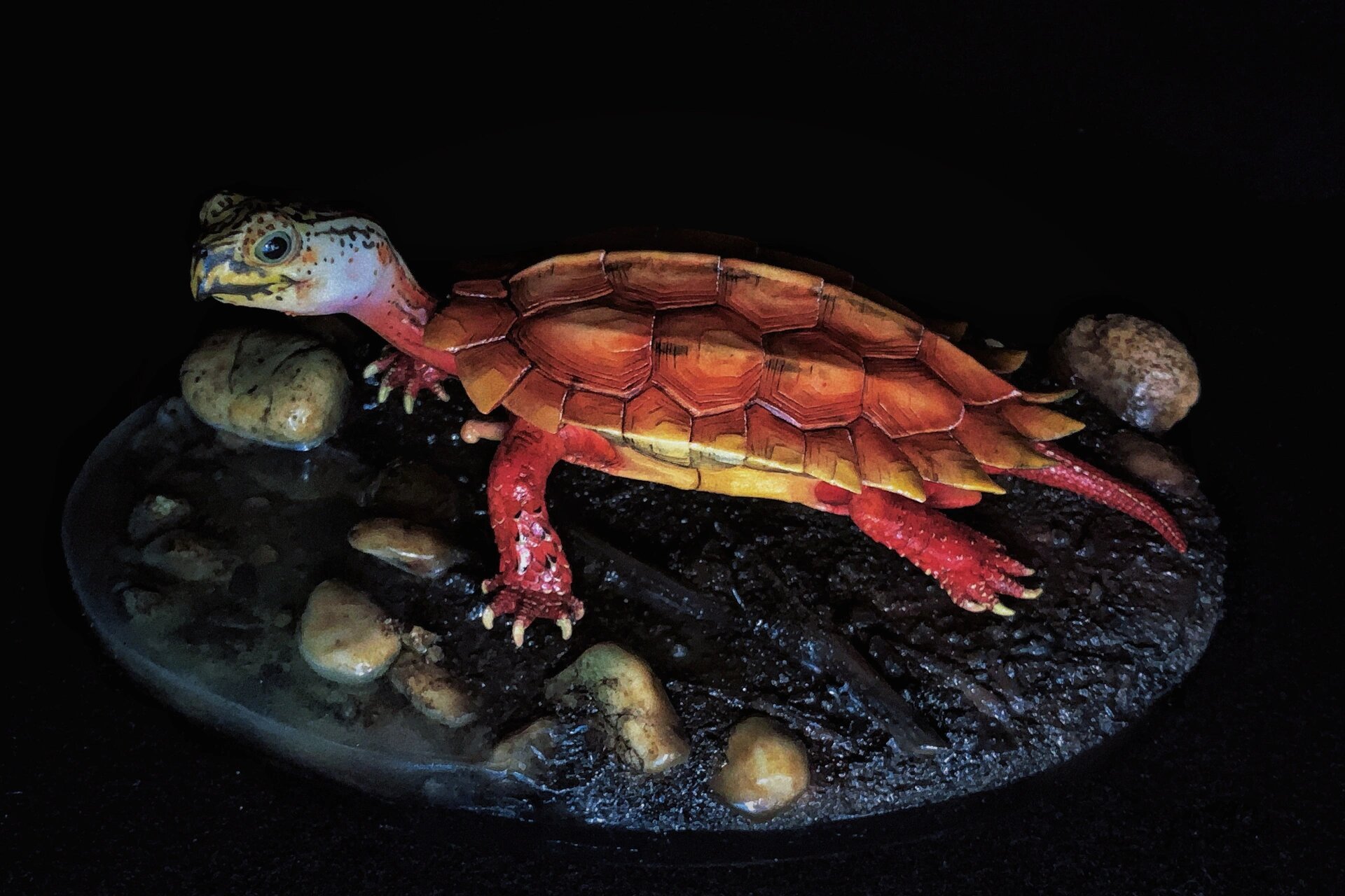 【两爬收藏图鉴】枫叶龟(地龟) 原型:八里-天宇涂装:八里-天宇