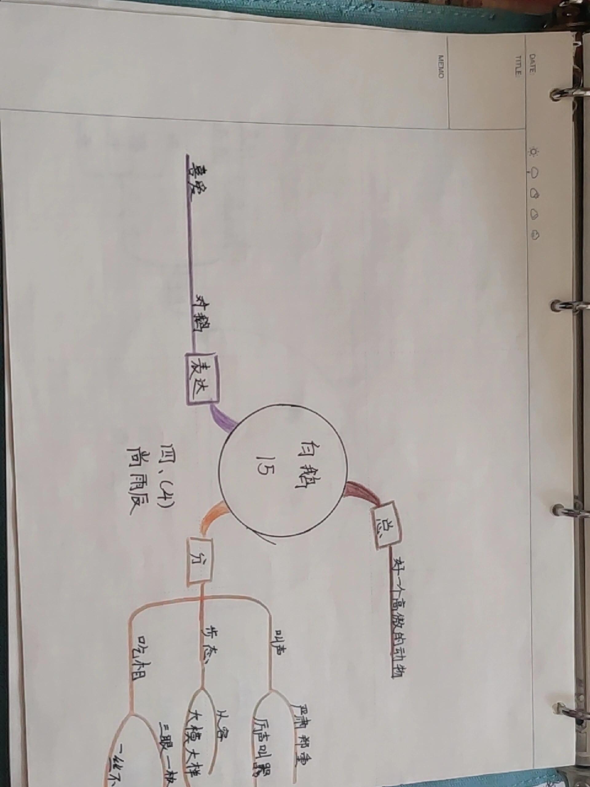 白鹅板书设计思维导图图片