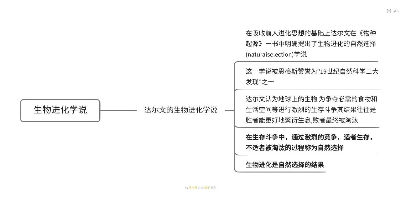 生物的进化知识框架图图片