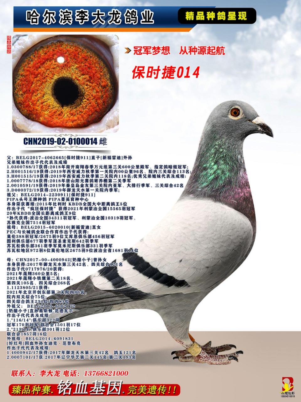 保时捷911全兄弟泰康直女